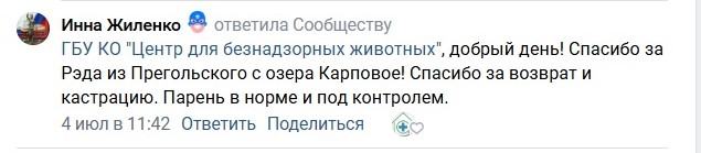 Отзывы