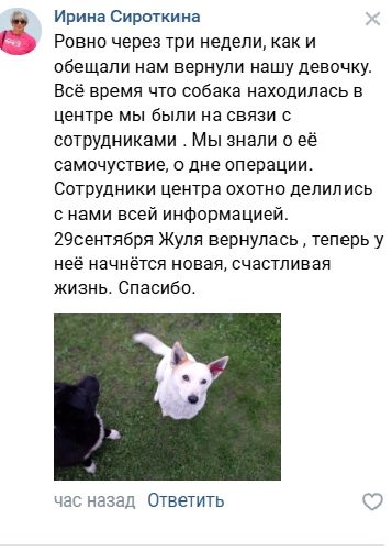 Отзывы