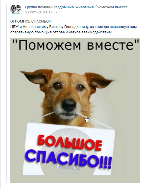 Отзывы