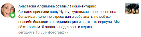 Отзывы