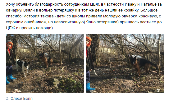 Отзывы