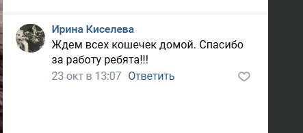 Отзывы