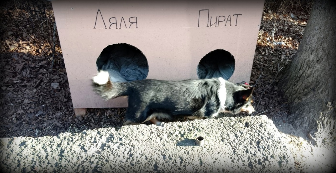 Отзывы